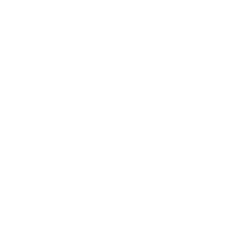 Top100 Logo