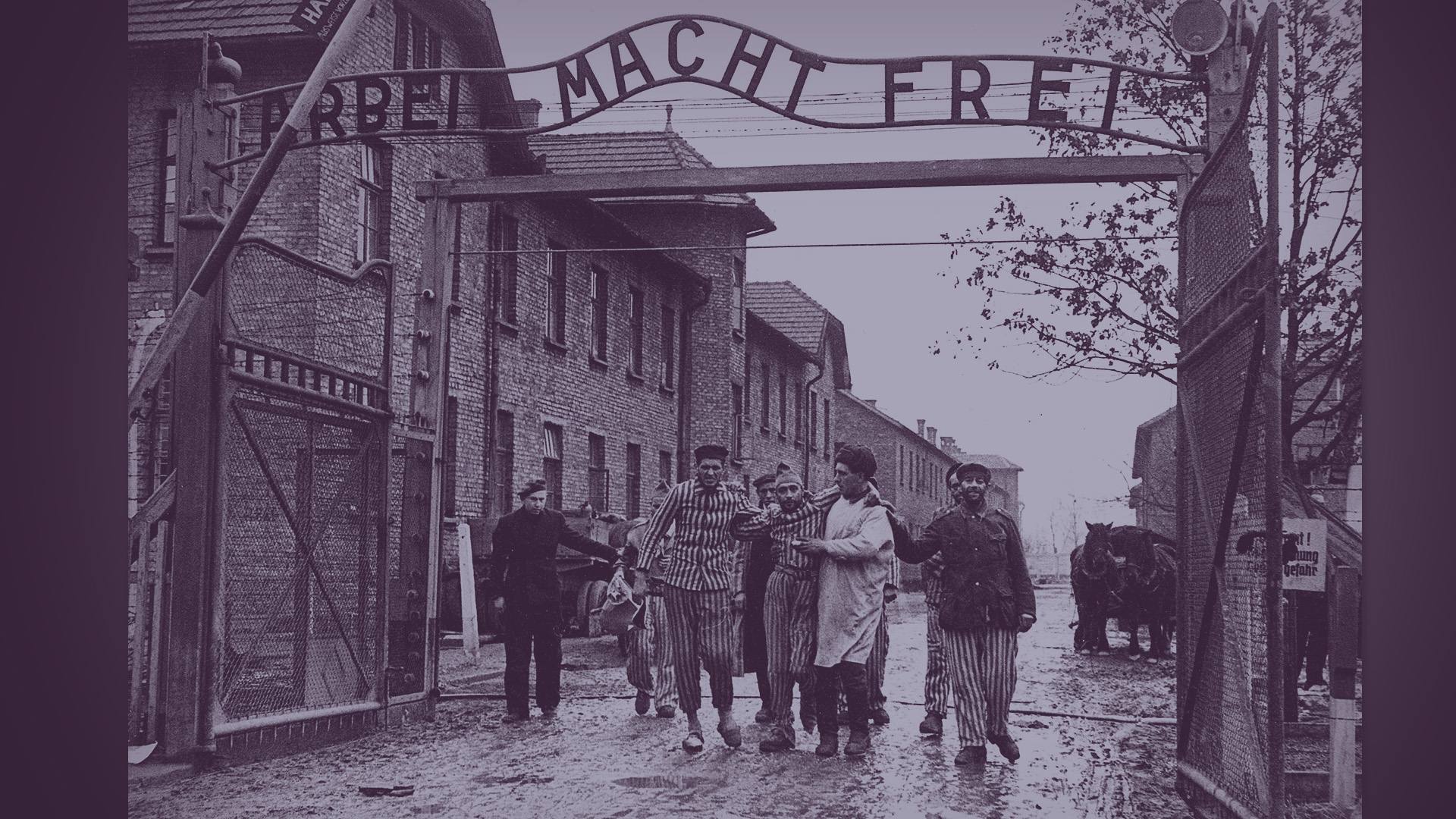 The liberation of Auschwitz